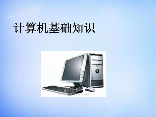 計算機大專生的多元發展路徑 機遇與挑戰并存